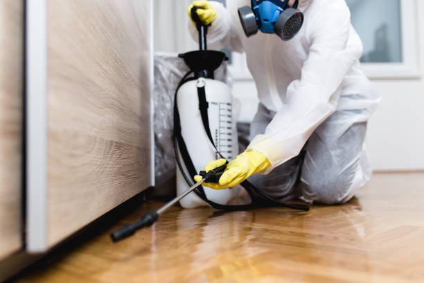 Best Exterminator Services  in Wellsville, OH
