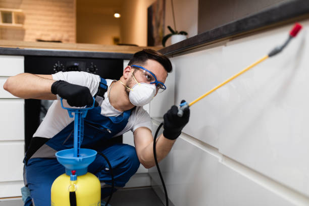 Best Mosquito Control Services  in Wellsville, OH