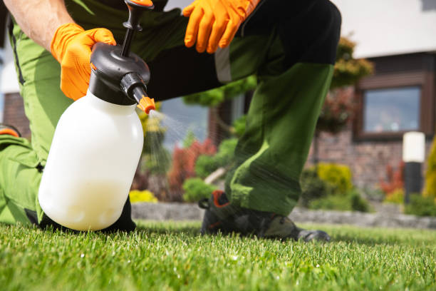 Best Pest Inspection Near Me  in Wellsville, OH