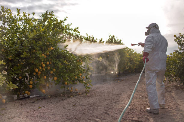 Best Best Pest Control Companies  in Wellsville, OH