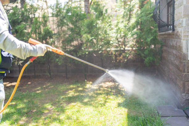Best Flea Control Services  in Wellsville, OH