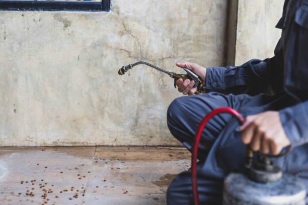 Best Wasp Removal Services  in Wellsville, OH